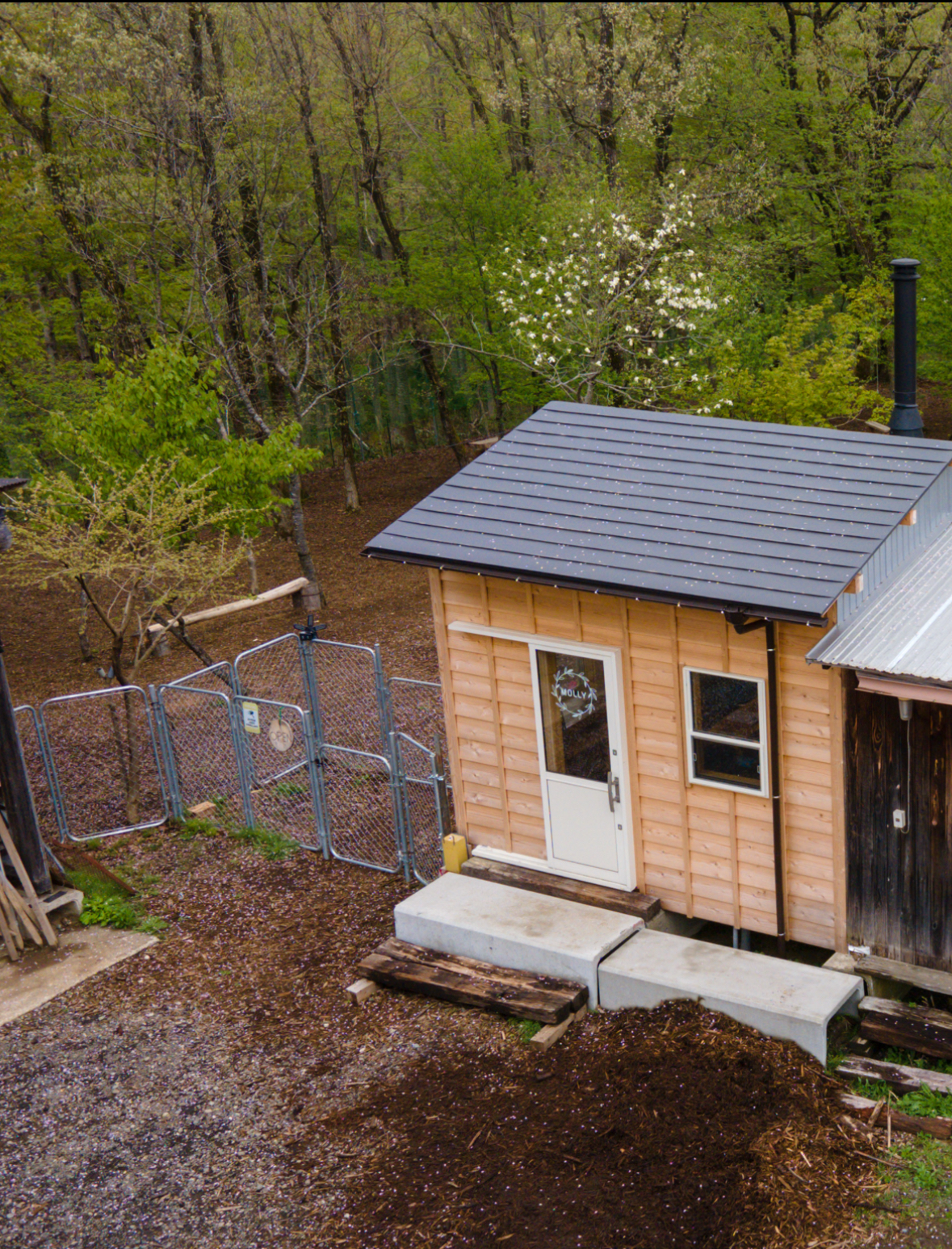 MOLLY木陰のあるドッグランの画像2