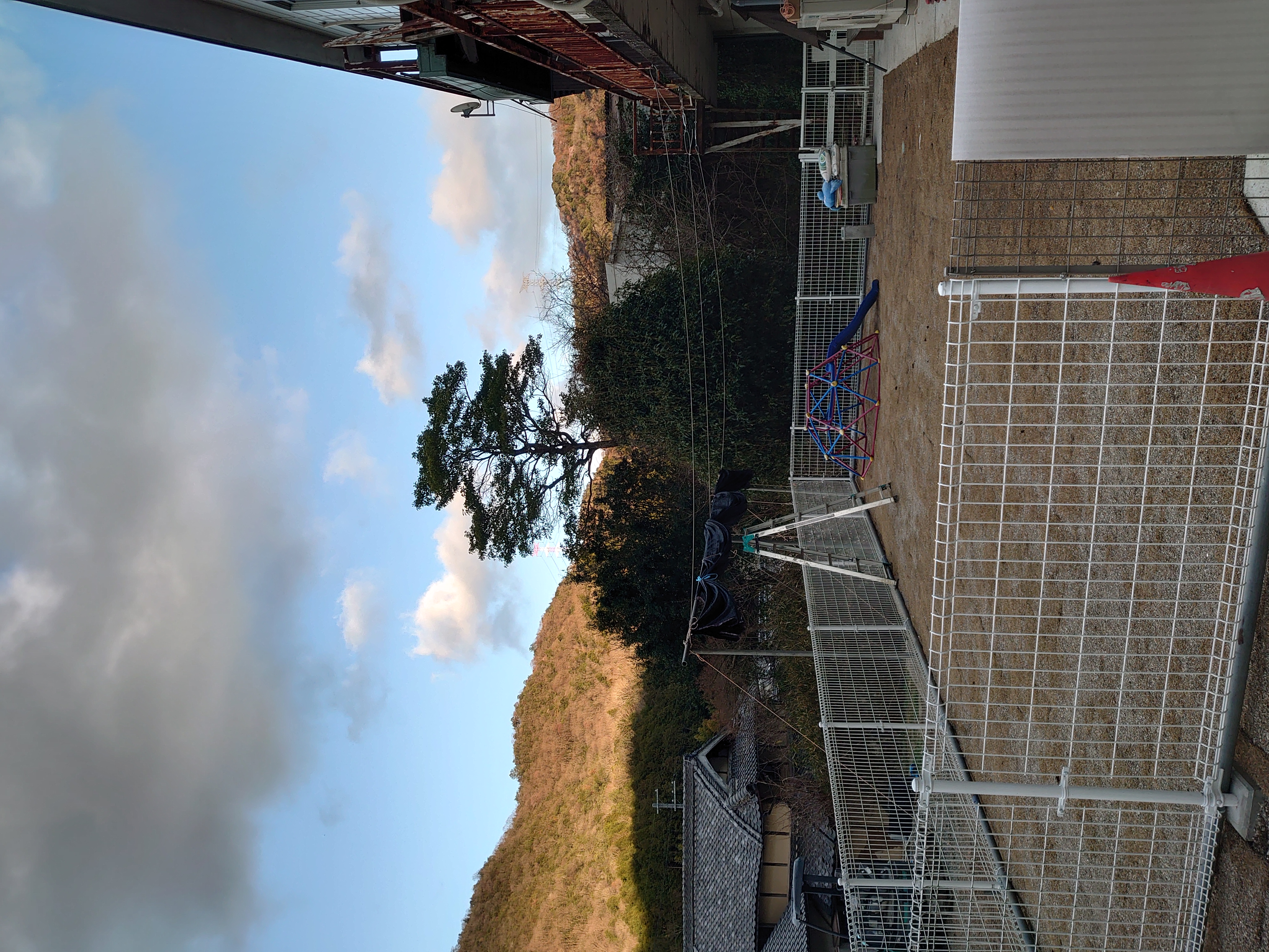 ペットホテルWINの画像2