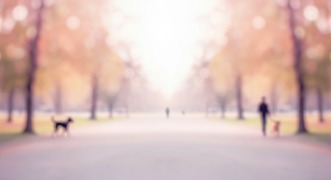 広い公園で、飼い主と犬の間に十分な距離が保たれている様子を示す写真。