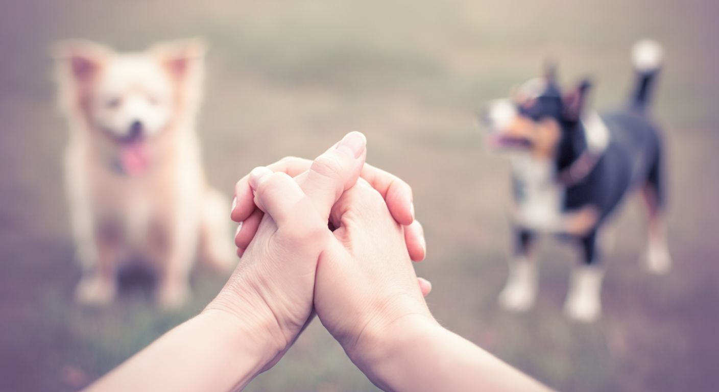 飼い主が責任感を示すように手を組んでいる前景。背景では2匹の犬がぼんやりと交流している。