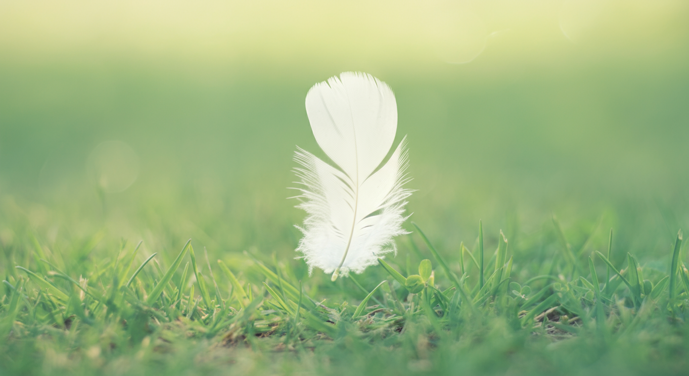 【獣医師監修】汚さない・病気にならない!ドッグランの衛生マナー完全ガイド