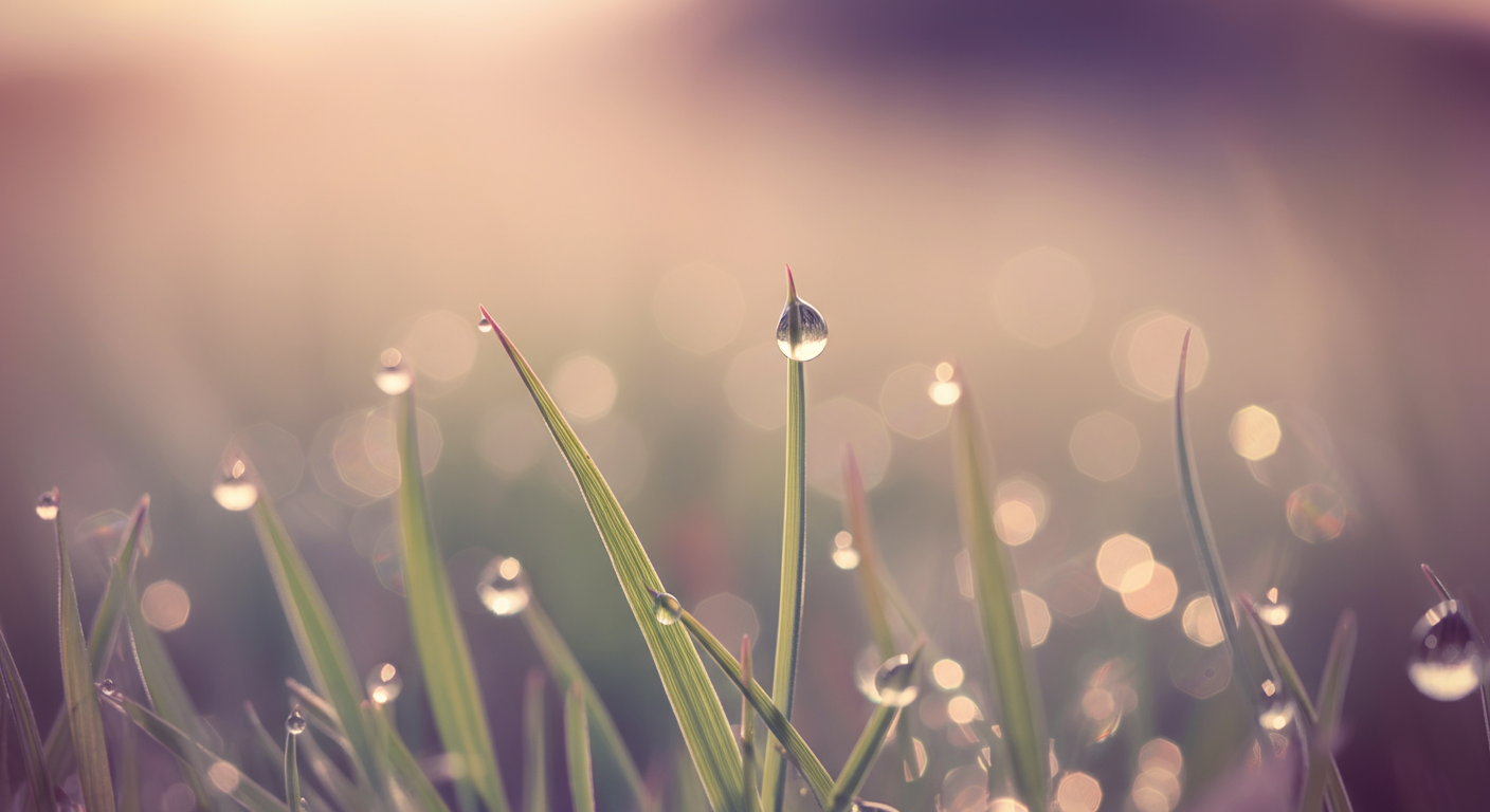 ドッグランの「ヒヤリ」をなくす!愛犬を守るためのトラブル回避術